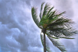 wind mitigation inspections in florida